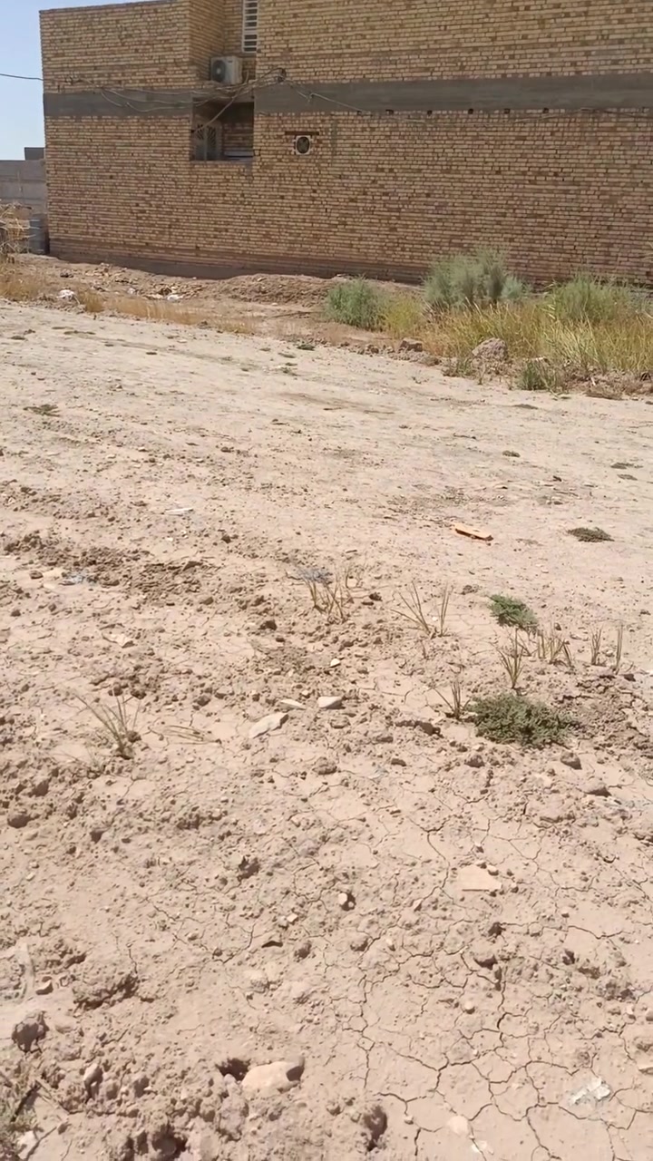 قطعه للبيع زراعي مساحه 208 حي لكوفه مقابيل بانزين خانه حجي عبد الحسن ملاغي قريبه عله شارع بني زيد تصال عله هاذه رقم ***********
