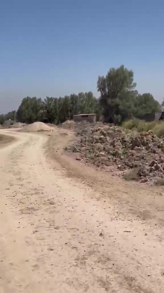 الصويره • ارض زراعي • ٢ دونم
