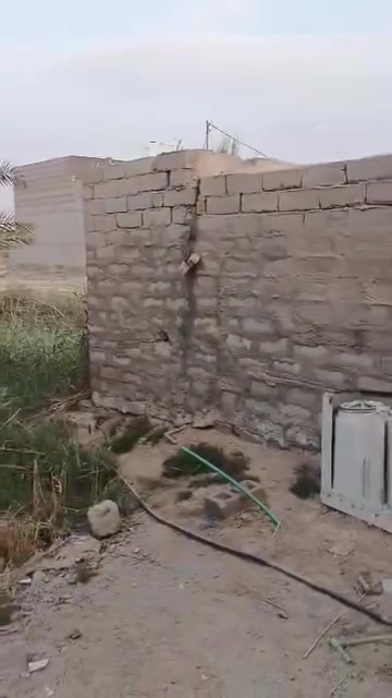شرش طاف ابو قماش • ١٢٠م • هيكل بنيان