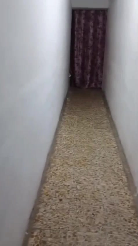 المساحه 144
البيت نضيف 
مدينه الصدر قطاع 2 
قريب عله شارع الصيانه
يم المدارس طابو تحويل مباشر باسمي
السعر 250 وبي مجال 
***********
المساحة 144 هاي صافي لو إجمالي؟ وشنو توزيع البيت: كم غرفة، بيه حوش/كراج/سطح؟: 
صافي ١٤٤
٥ غرف ومخزن 
موقعه بالضبط بقطاع 2: قريب على أي معلم أكثر؟ وهل الشارع سكني لو تجاري؟: 
سكني 
قريب على ساحة قطاع 2
الطابو تحويل مباشر باسمي، أكو أي أوراق ثانية جاهزة للمعاملة؟: 
تحويل مباشر
السعر 250 مليون نهائي لو قابل للتفاوض؟ وشنو أفضل وقت للتواصل أو المعاينة؟: 
قابل للتفاوض 
التواصل
في اي وقت 