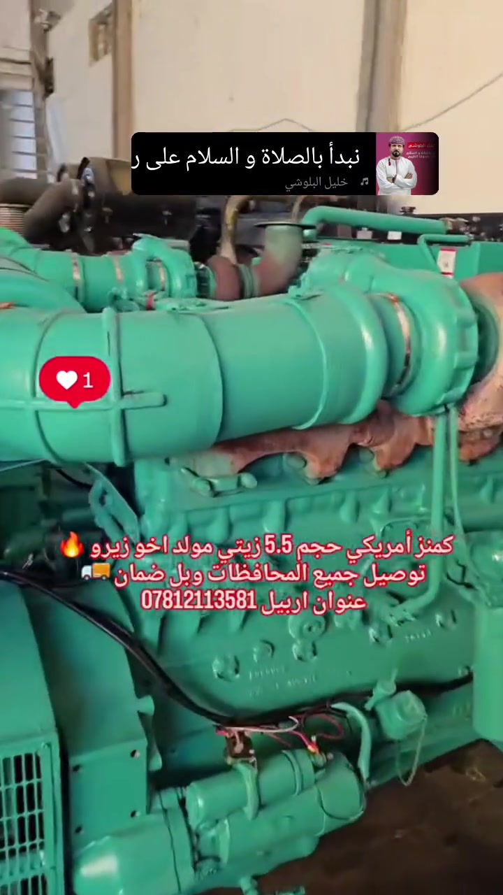 مولد • امريكي • اربيل