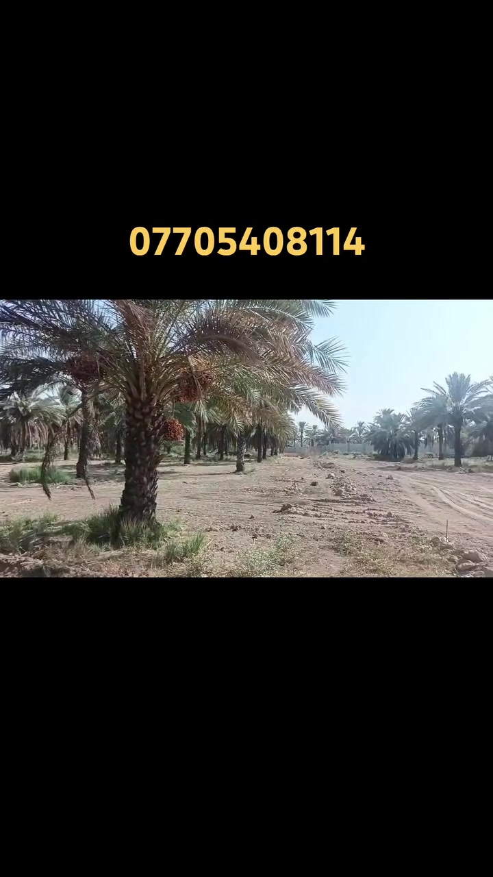 سند ٢٥ • دونمين • قريب نهر دجله