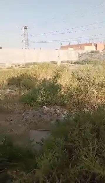 سلام عليكم قطعه ارض للبيع المساحه 500عطريق الشوملي نعمانيه تبعد عن شارع العام سبعين متر تقريبن *********** اتصال
