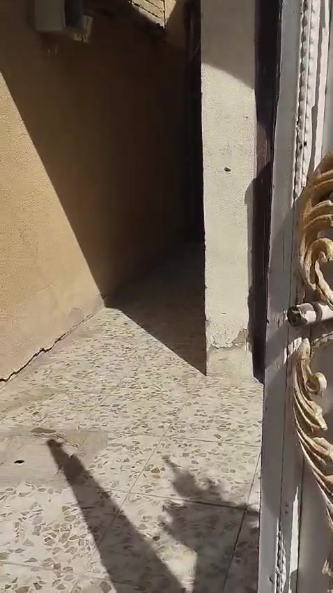 دار • سند ٢٥ • ١٠٠م