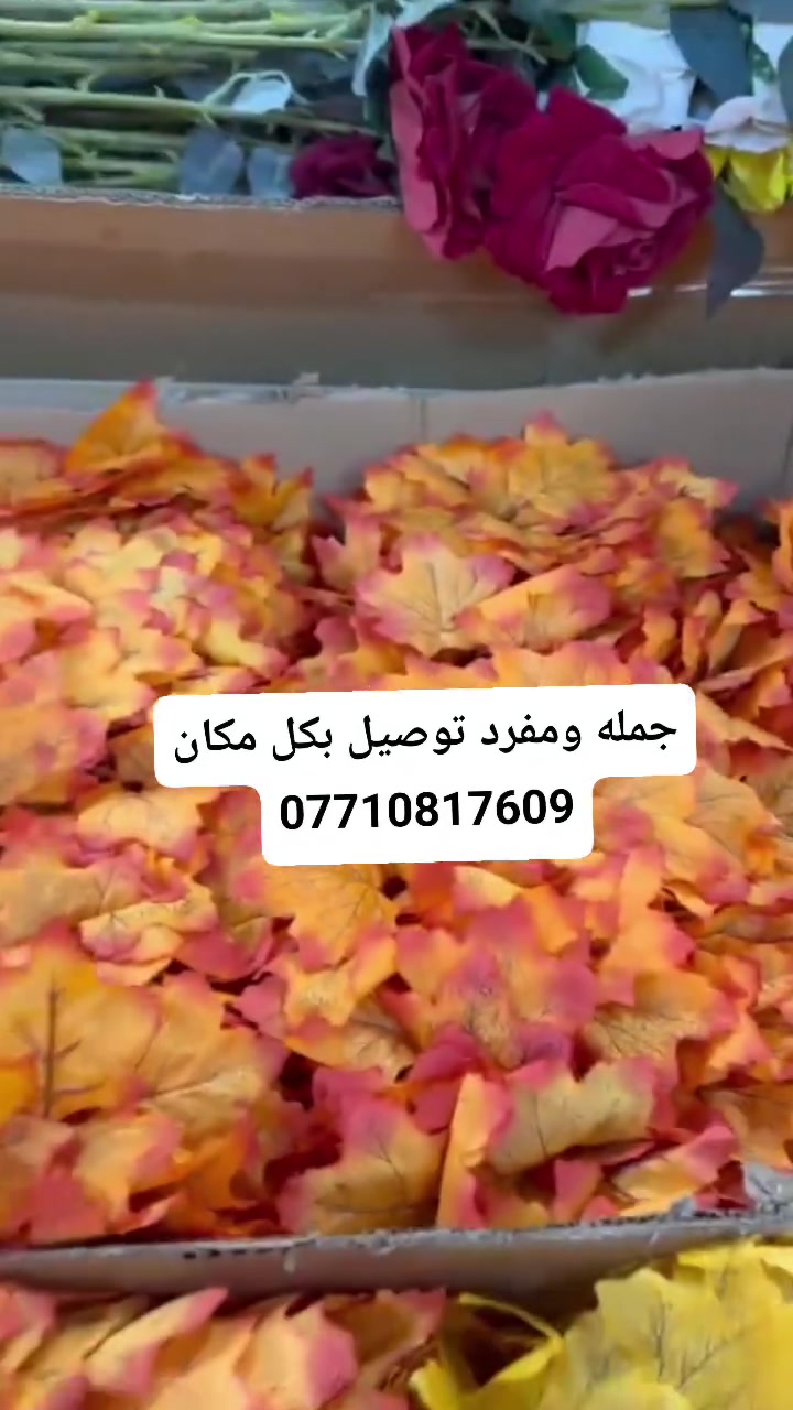 ورد خريفي  الوان توصيل بكل مكان ***********
