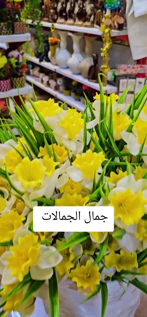 حله • مول المدحتيه • ط٣ محل ٧