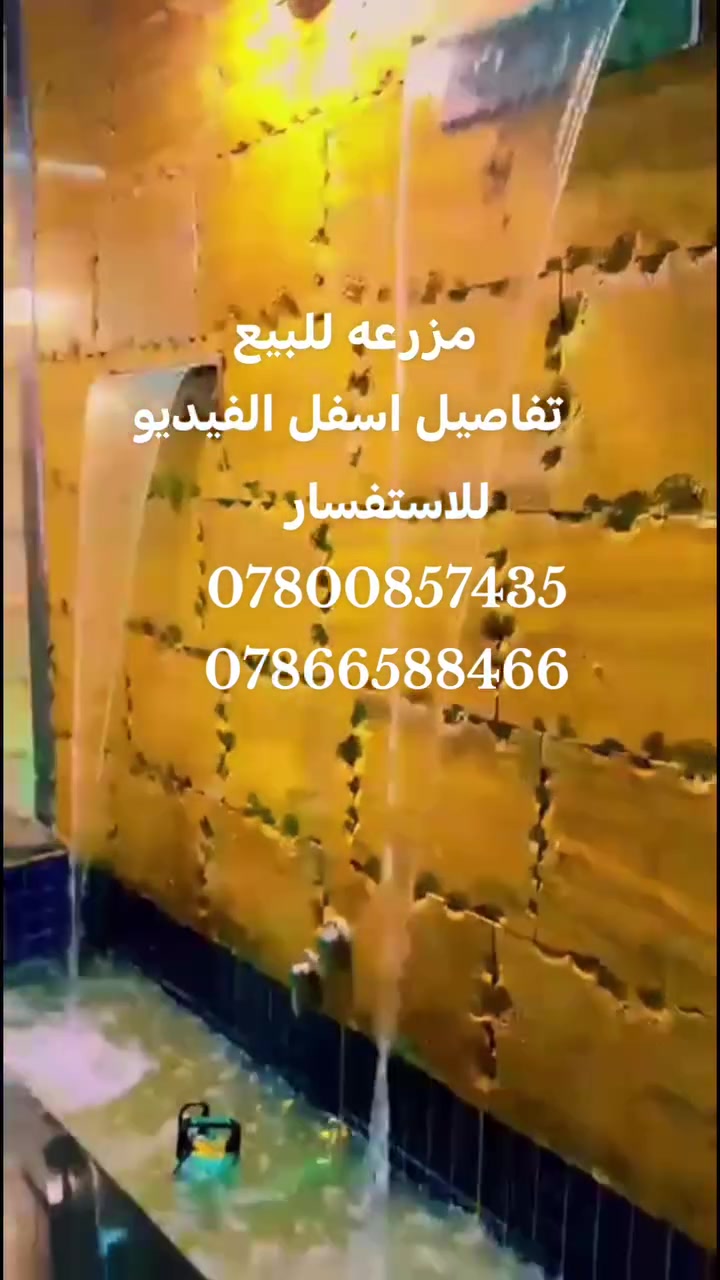 مزرعه • ٧٠٠م • سند ٢٥