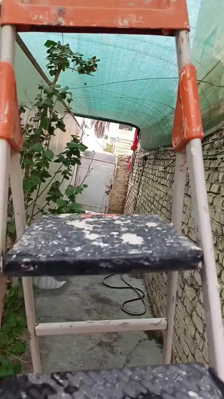 بغداد بارك السعدون • درج • ضرر بالرجل