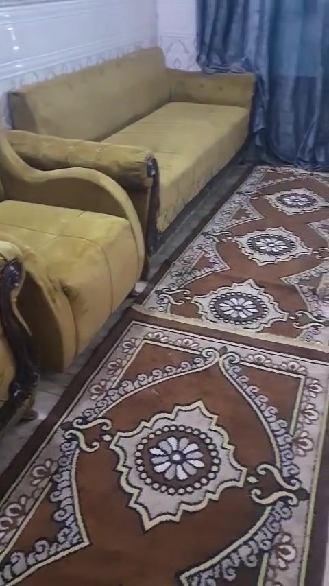 ١٠ مقاعد • تخم • ما بيه ضرر