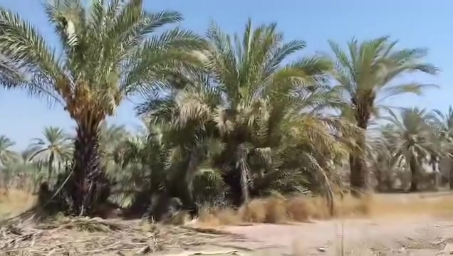 📣أعــــــــلان 
١٠٢ دونم على طريق التاجي سبع البور 
بسند واحد 

زراعية مملوكة للمالية بيها حق التصرف
