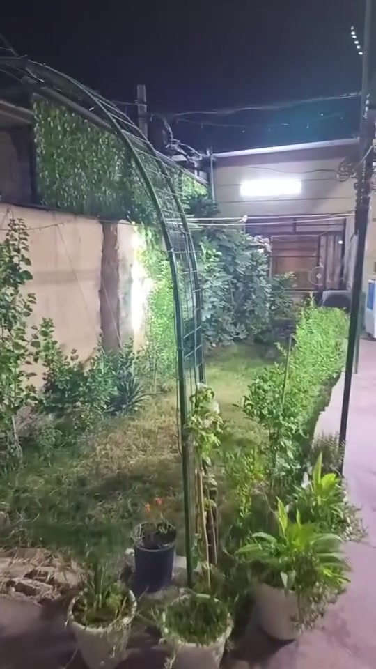 بيت تشجير الشارع تبليط  حديقة خارجية وحوش طويل وحديقة داخلية مطبخ داخلي واستقبال و ممر وغرفه داخليه وترك خارجي وترك داخلي وحمام داخلي  الموقع الزعفرانيه شارع الكهرباء  سكلت ابو غفران لل اتصال *********** واتساب بي
