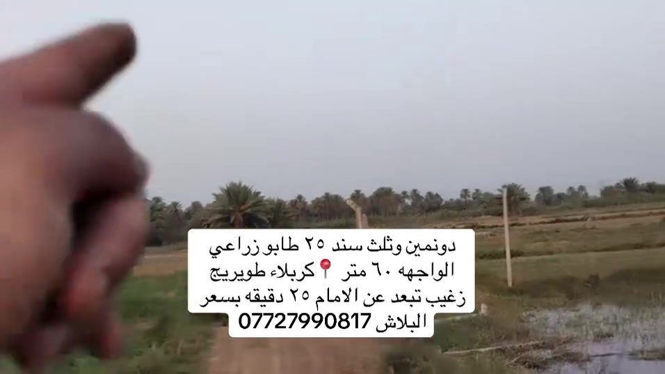 كربلاء طويريج زغيب • سند ٢٥ • طابو زراعي