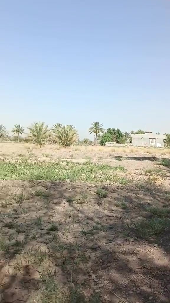 كاع تصلح لزراعه قرب مجمع الكوثر السكني يبعد عنه 3كيلوات دونمين ونص***********
