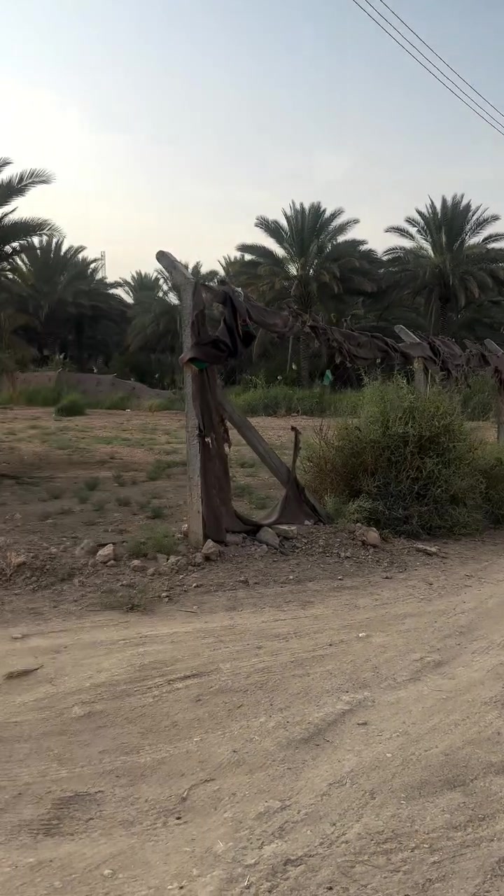 ١٠٠٠م • طابو زراعي • سند ٢٥