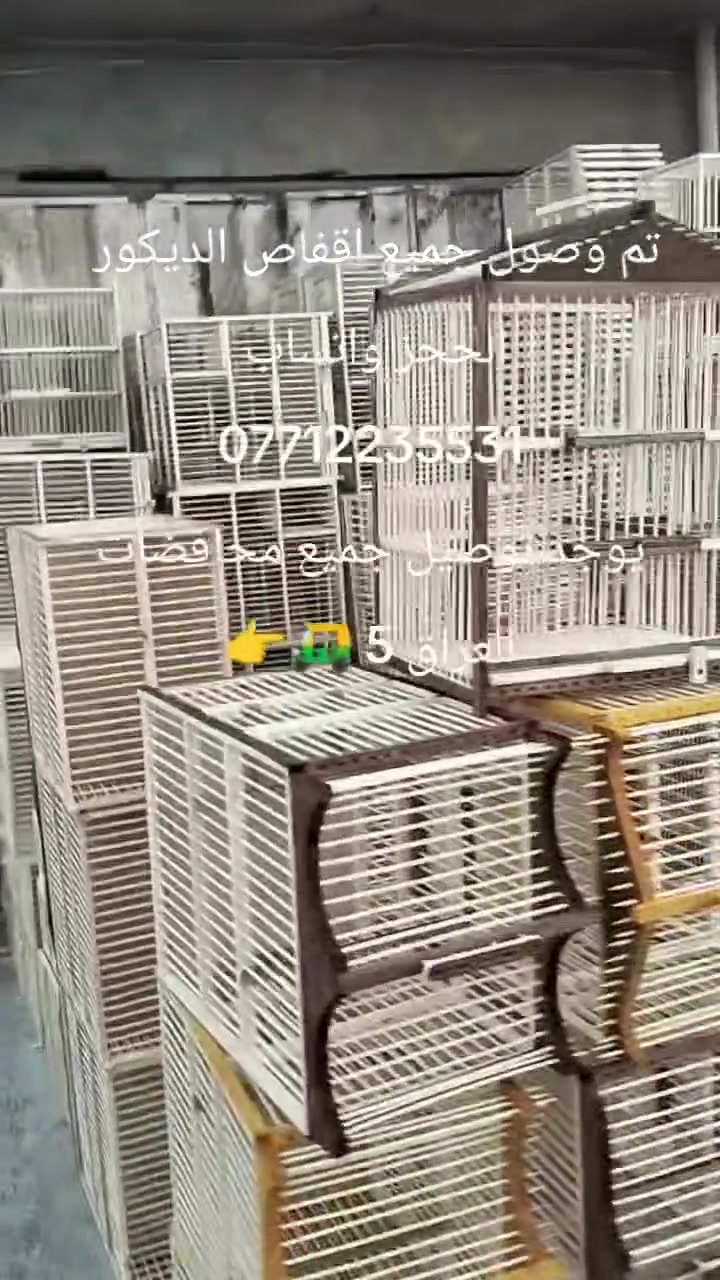 تم وصول جميع اقفاص ديكور بلابل 
الأسعار جمله مفرد موجود 
الححز واتساب ***********
العنوان بغداد حي البتول مقابل معمل الطابوك 
يوجد توصيل جميع محافضات العراق 5 🛺👉
