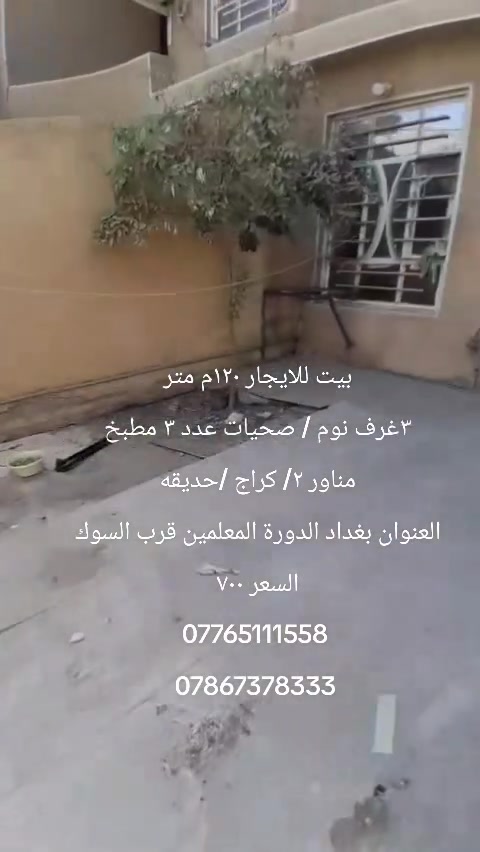 لا توجد تفاصيل

