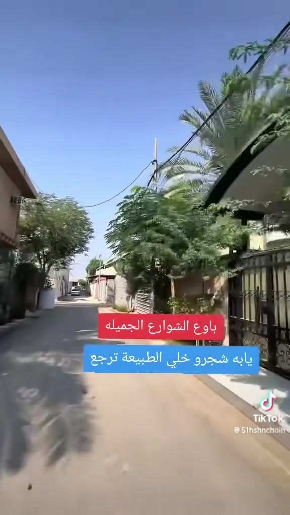 شجره • ارتفاع٢م+ • توصيل