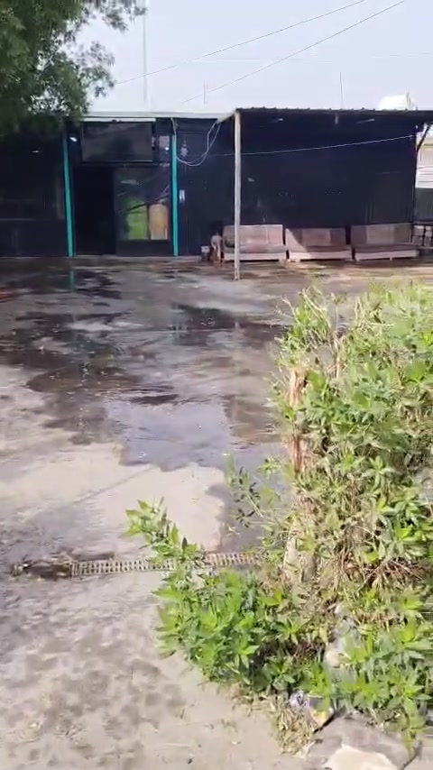 كوفي للبيع • السايدين العريض • الخطيب بغداد