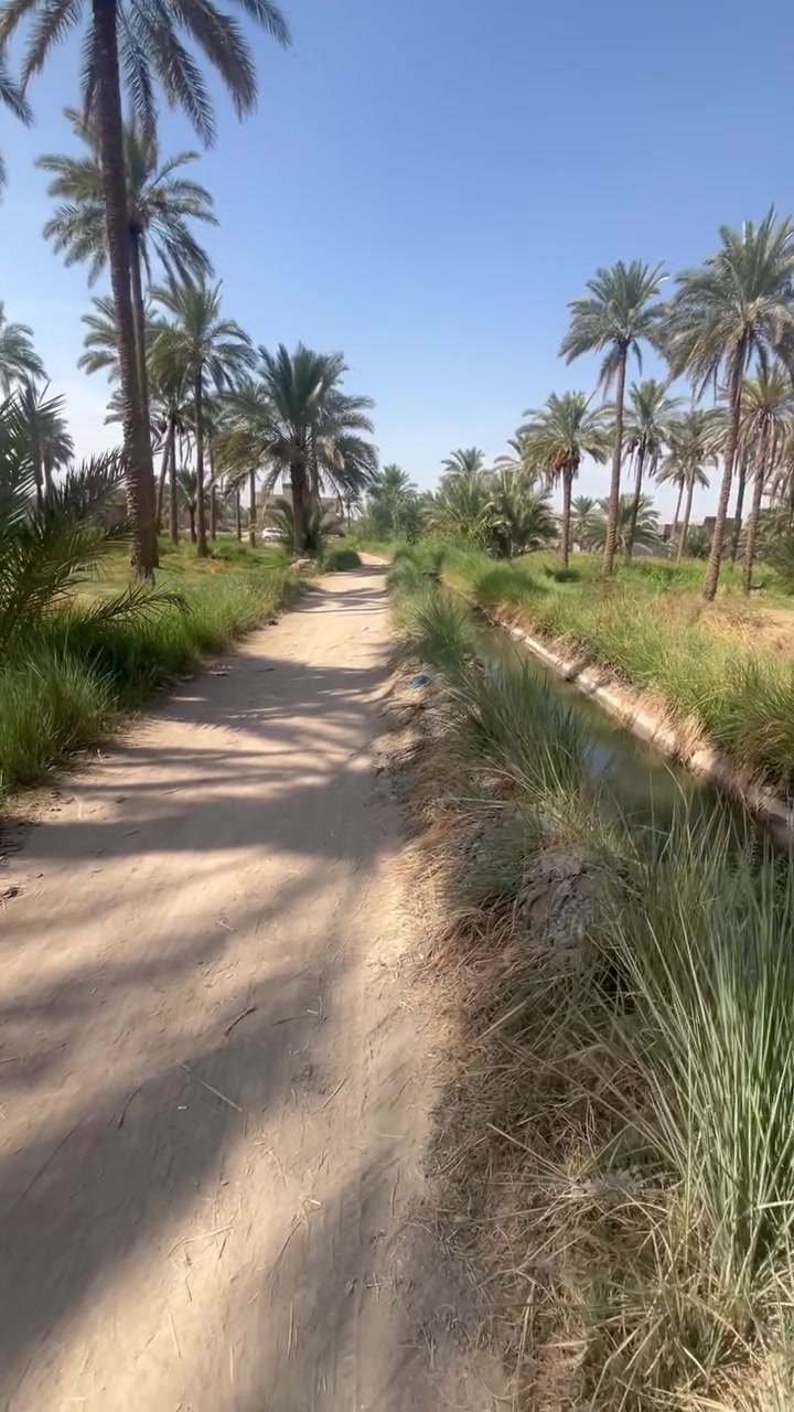 كربلاء الهندية • ٥٥٠٠م • سقي سيحي