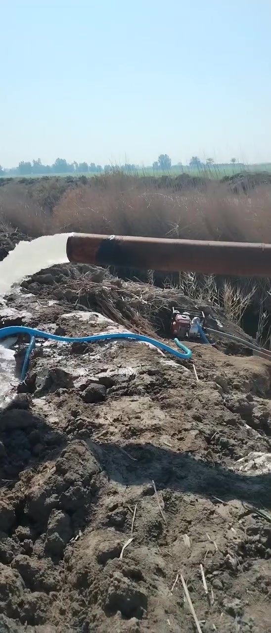 للبيع محرك عنتر مع خنزيره ايراني 
6في8وصوندات 2 جاهز وشغال كل نقص ما بي ديوانيه قضاء سومر***********

