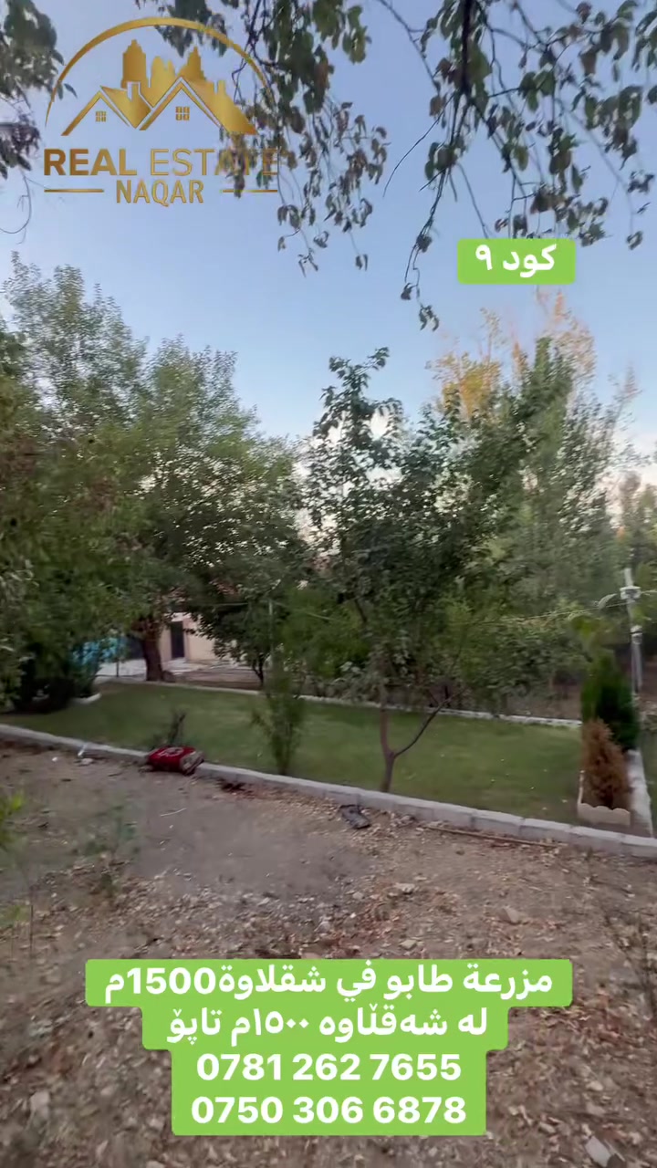 سنتر شقلاوة • ١٥٠٠م • طابو صرف
