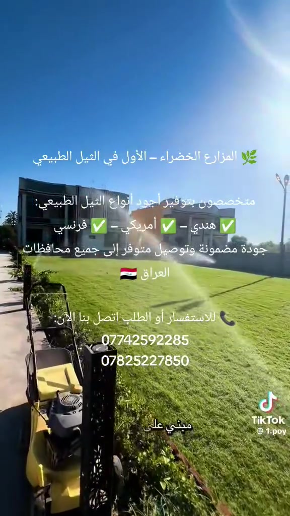 ثيل طبيعي • هندي أمريكي فرنسي • توصيل