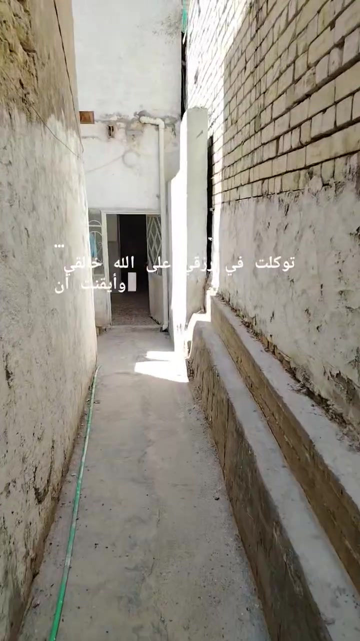 للإيجار • ميسان منطقه ٢٤ • ٥٠م