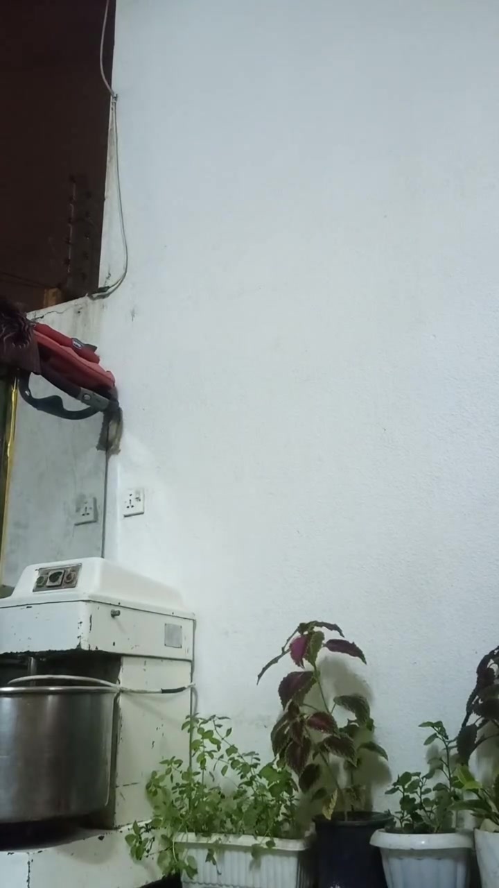 حجانة لولبي • ٣٥ كيلو • أوربي