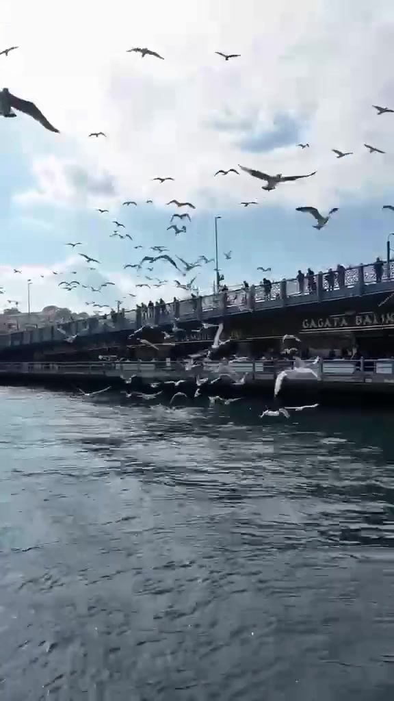 إسطنبول • كروبات سياحية • بغداد السيدية