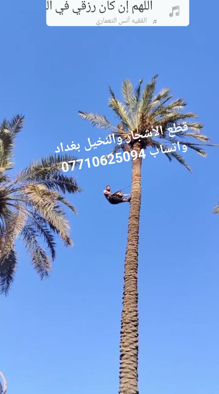 لا توجد تفاصيل
