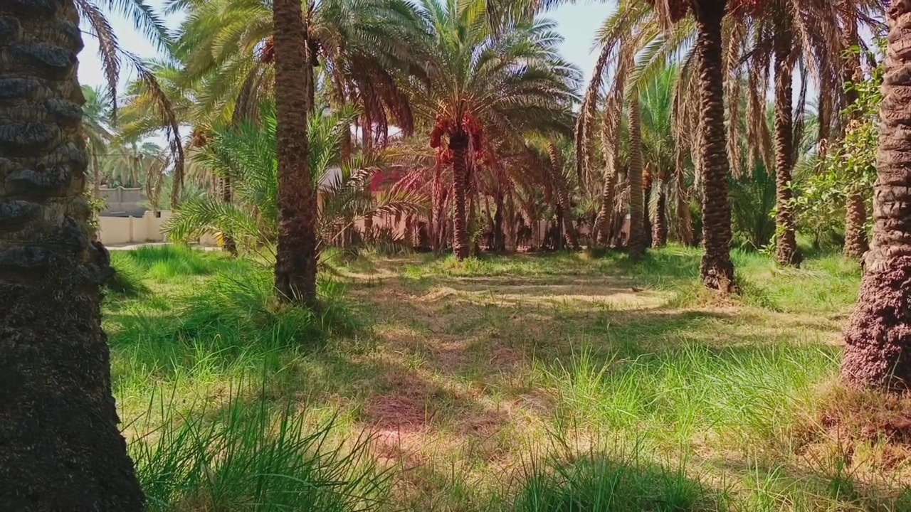 مساحه 1000 متر سند 25 واجهيه 20 متر قرب مشتل العتبه العباسيه باقي التفاصيل اكثر ذاكرها لكم مقطع الفيديو سعر باقي التفاصيل اكثر الاتصال***********
