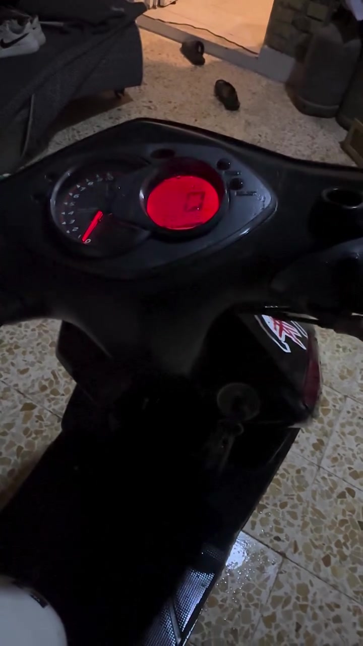 سكنس فحل • مكفوله • مامفتوح