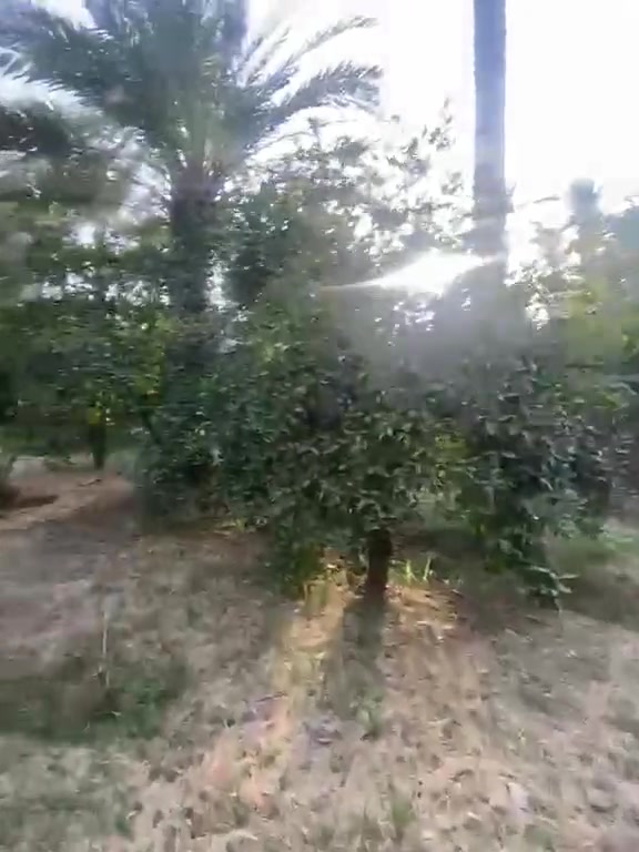 سلام عليكم للبيع دونم سند 25 تحويل مباشربس@0 المشتري بغداد الراشدية قرية النور جدا قريب ع شارع العام طريق بغداد كركوك كل خدمات متوفر بي السعر300 وبي مجال للشراي جدا قريب ع مجمع الطبي ***********
