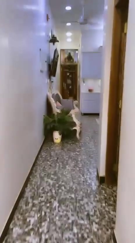 ​🏡 بيت للبيع – فرصة سكنية واستثمارية ممتازة
📍 الموقع: بغداد – البلديات (حي الصحفيين)

​📐 المساحة والمواصفات:

• المساحة: 100 متر (الواجهة 5m × النزال 20m)

• البناء: 3 طوابق (بناء حديث 2023 - تشطيب أنيق وتصميم عصري)

​✨ تفاصيل البيت:

▪️ 4 غرف نوم

▪️ 4 حمّامات

▪️ صالة استقبال واسعة

▪️ مطبخ (حار وبارد) داخل الصالة

👌 بيت متكامل، جاهز للس@كن، ولأصحاب الذوق الراقي.

​💰 السعر المطلوب: 245 مليون دينار عراقي

​📞 للاستفسار والمشاهدة الجدية:

📱 اتصال أو واتساب: ***********

💬 أو المراسلة عبر الرسائل الخاصة (خاص)

