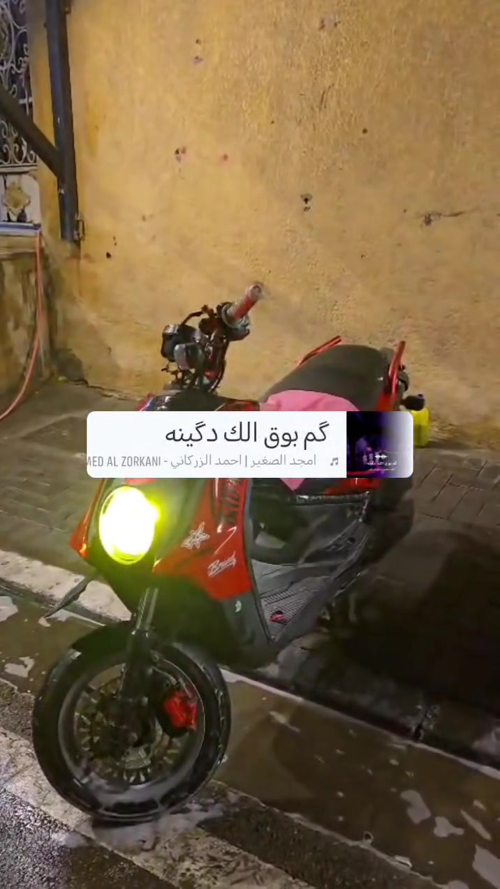 سكنس جبلي • نوزل • مامفتوح