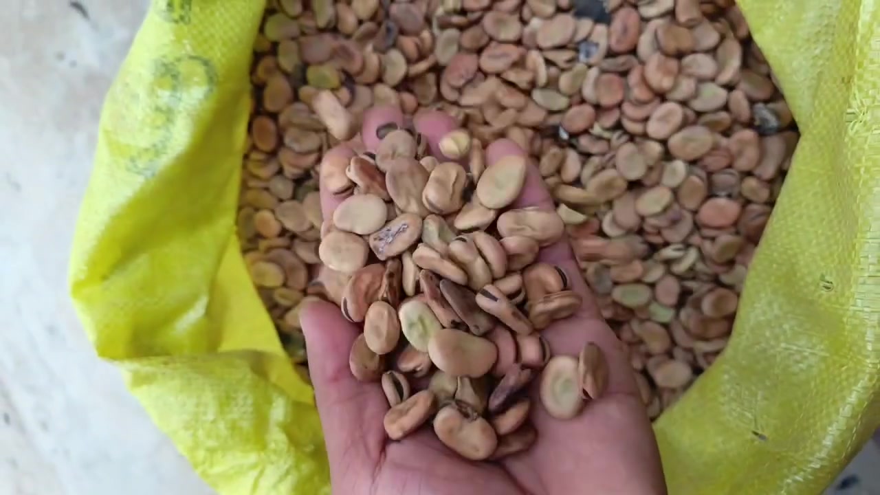 باجلة • الشيخ بابا