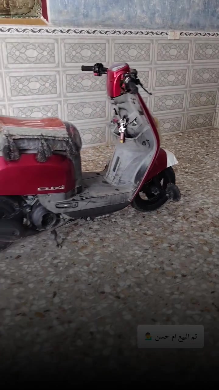 لبيع بوليس موديل 10 الدراجه كفالة كفاله  كله ختم واحد  محرك مامفتوح شرط تاخذه تفحص بيه وصل معرض كهربياته كله شغاله  سعره 750 💁‍♂️المكان بابل الهاشميه  
***********
