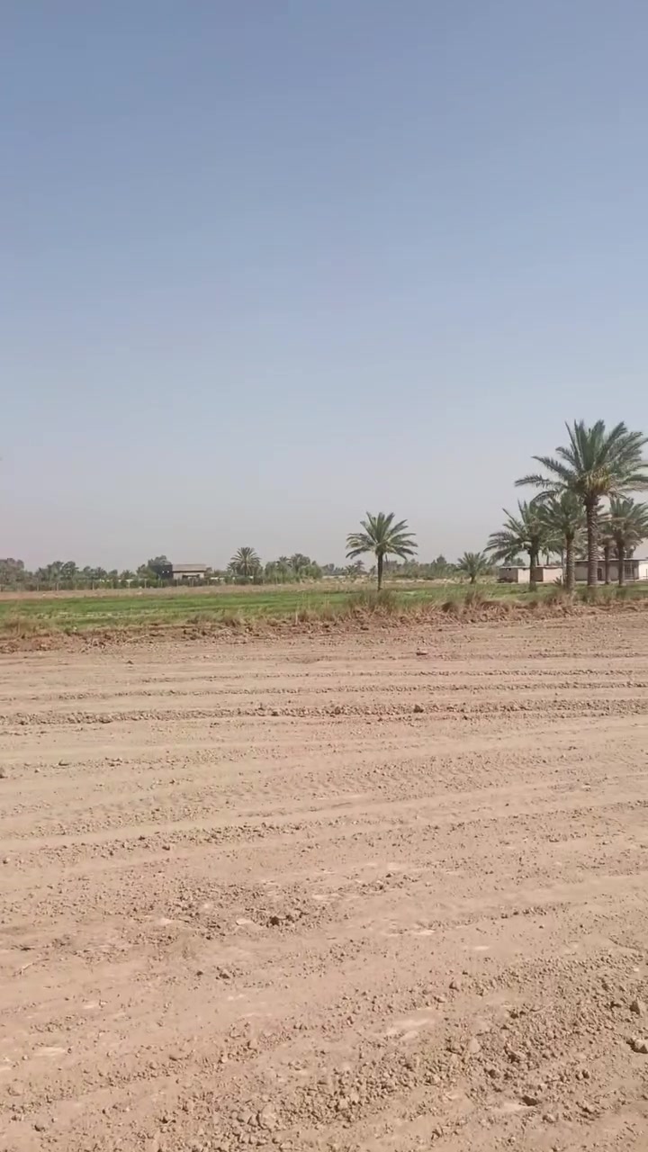 السلام عليكم تابع الفدو للنهايه بيع مستعجل بسعر جدا مناسب شرفني وشوف بعينك وانت قيم باليرضي رب العالمين وبالعافيه عليك العنوان بغداد اليوسفيه ناحية القصر الاوسط منطقة بير الحمام البومحي الشارع الثاني بيع مستعجل سبب البيع عمليه مستعجله ***********
