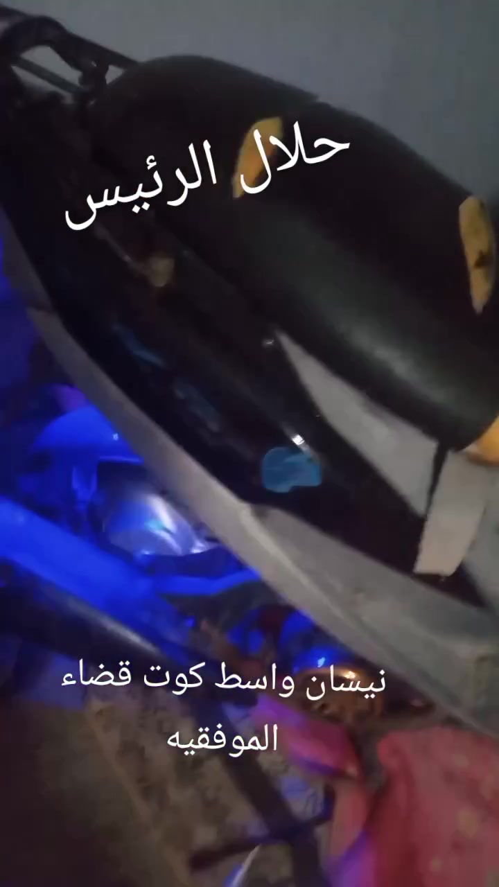 سلام عليكم ماكس منغولي بيه دخان قليل كلش توه بده بيهه بوشه 55 فول شلعه ومعدل مكاني واسط كوت *********** سعره 300وبيه مجال قليل لمو شراي يطلع كبل
