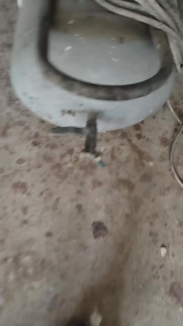 ***********
