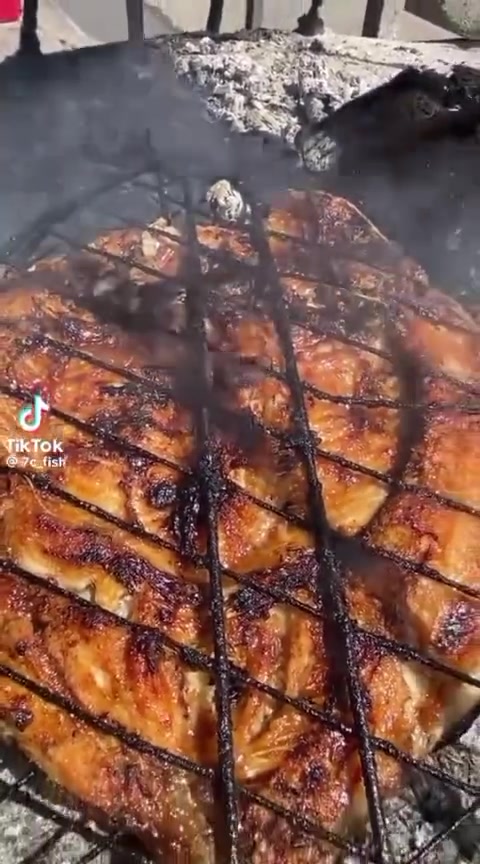 مطعم فريش فش لسمك المسگوف. و مندي دجاج /... كيلو سمك مسگوف مع خبز ب ٧ ونص/ مندي دجاجة مع تمن ب 12 نص دجاجة ب 6 
 لطب مراسلنا على الخاص او على  رقم الواتساب  *********** 
متوفر توصيل لكافة احياء النجف  عنوان حي العسكري مدارس خدمي شارع الصب
