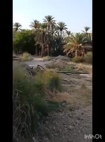 السلام عليكم عرض اليوم ١٣ دونم طابو زراعي سند 25 كربلاء طوريج كريط منطقة الشاطي أرض مخدومة وحلوة الكهرباء طوارئ والماء السقي والاسالة واجهة ٣٠ متر تبعد عن الشارع العام كربلاء نجف كيلو ونص سعر الدونم الواحد ٢٢ مع المجال للاستفسار الاتصال على الرقم*********** ***********/ العنوان كربلاء طويريج قضاء الخيرات
