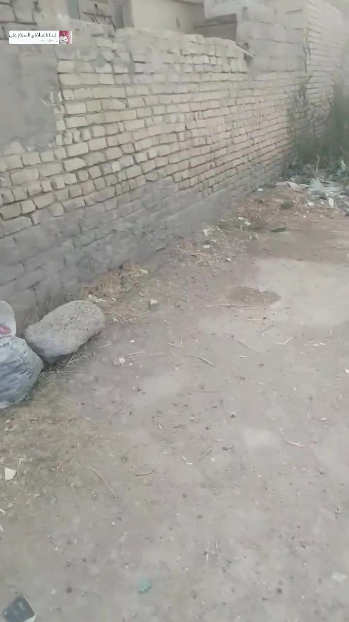 منطقة السوداني • ١٠٠م • قرب مدرسة المسعودي