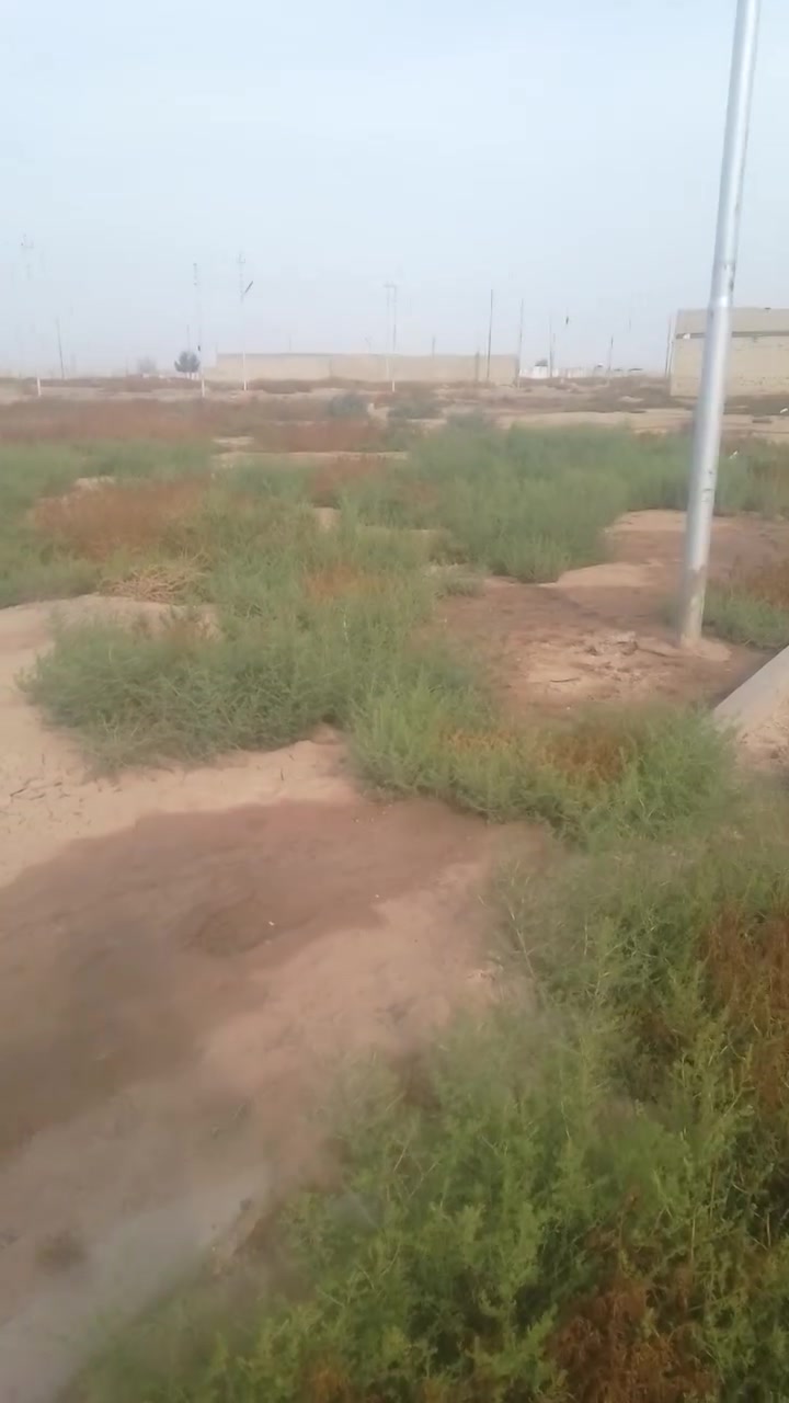 بوب لشام • قرب لزاعي • ١٠٠م