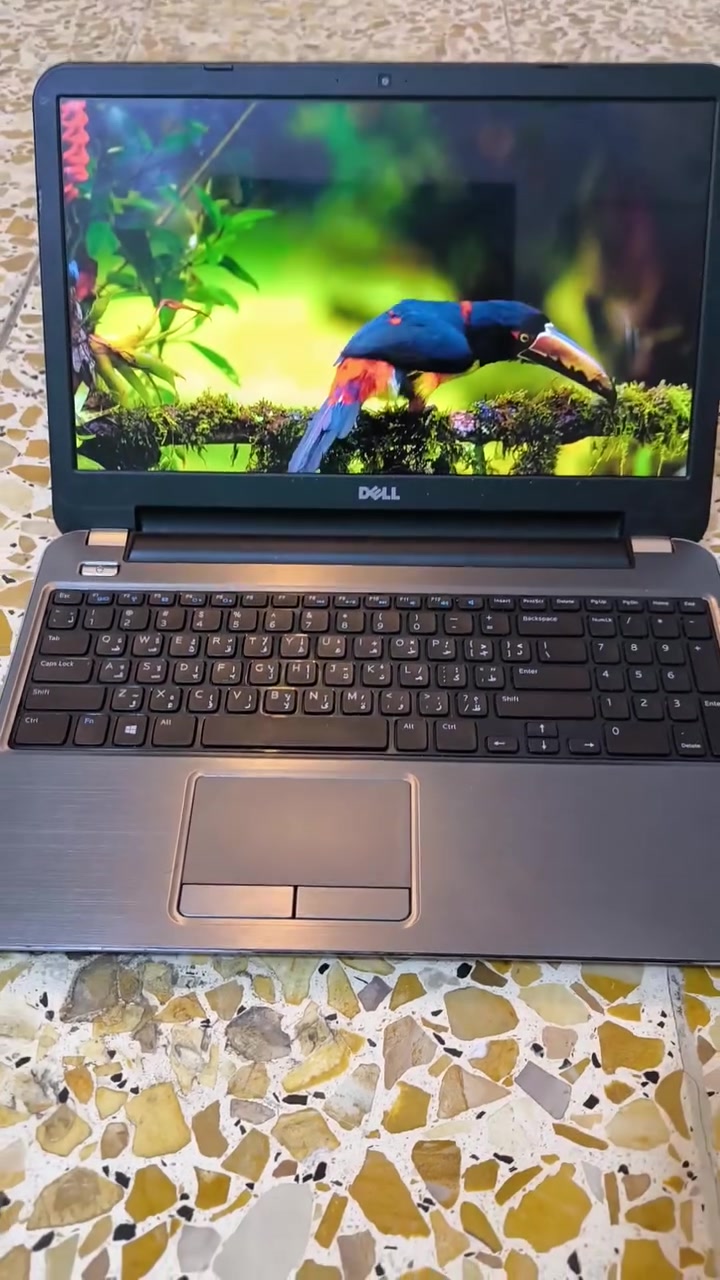 لابتوب للبيع السعر 125 
مواصفات Dell latitude 5540
Core i 5 
Gen 4 
Hard SSD 256 ⚡
Ram 8 
حجم شاشة  15
الصوت ستريو عالي 
البدن من المعدن للتحمل الاداء القوي ،، رقمي ***********
