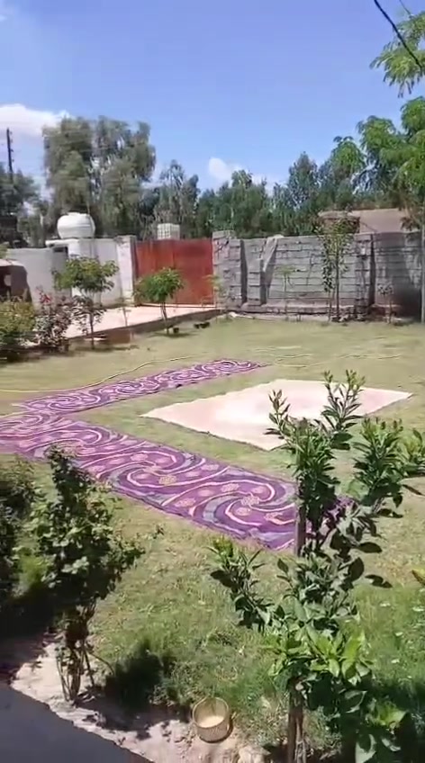 سلام عليكم دونم لبيع مع بيت منطقه الوسمه السعر ع خاص الاتصال والاستفسار ع ***********
