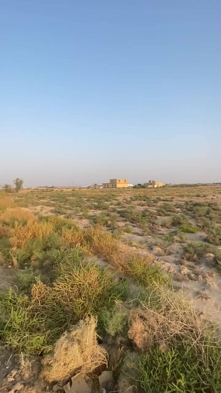 قطعة أرض زراعية • سند ٢٥ • ٧ دونم