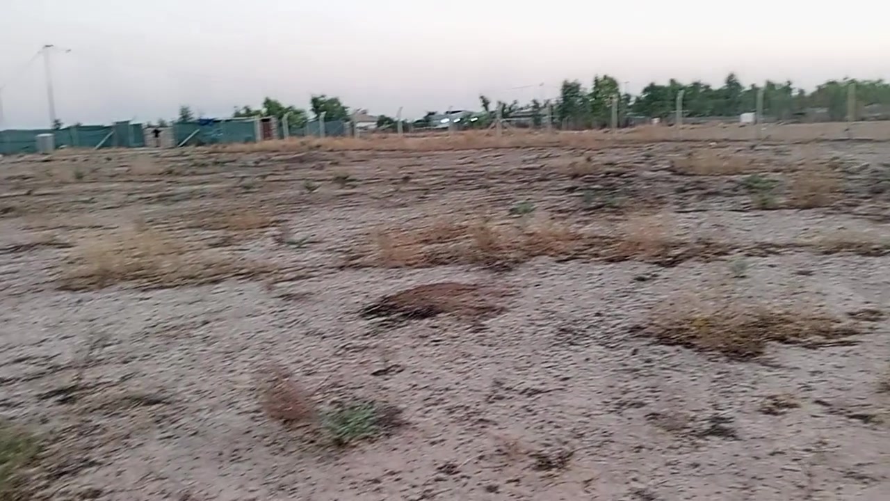 زراعي • طريق ليلان • ٢٠٠٠م
