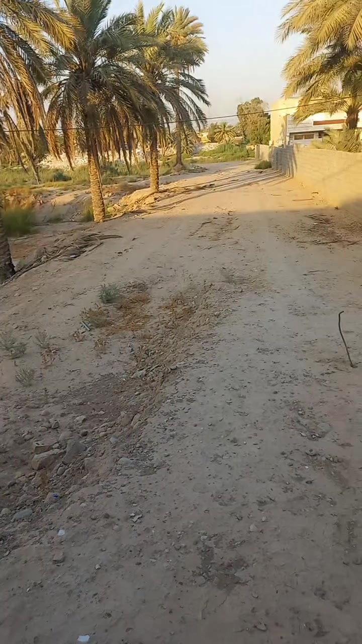 دونم للبيع سند ٢٥ شاطيه القلعه الزراعي  واجها ٣٢ نزال ٨٠متر ***********
