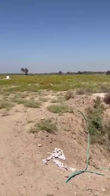 ارض زراعي • ٢دونم • سند ٢٥